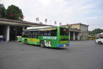 新西蘭智閣板材強(qiáng)勢(shì)登陸湖南營(yíng)銷(xiāo)中心各路公交車(chē)